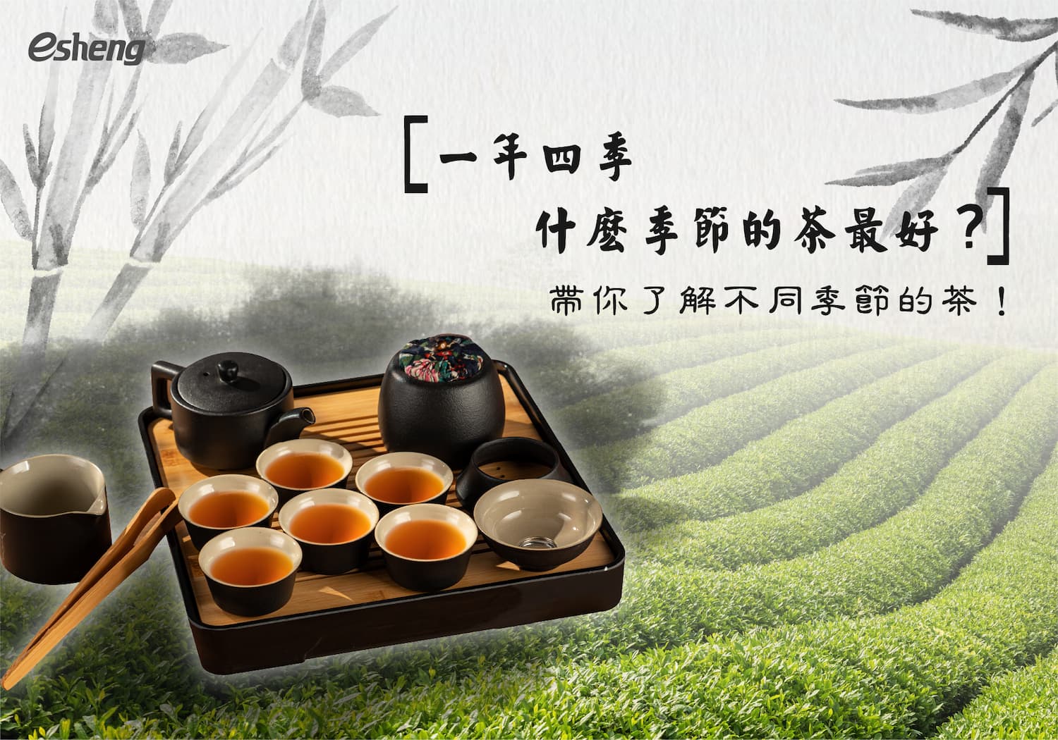 一年四季什麼季節的茶最好？帶你了解不同季節的茶！