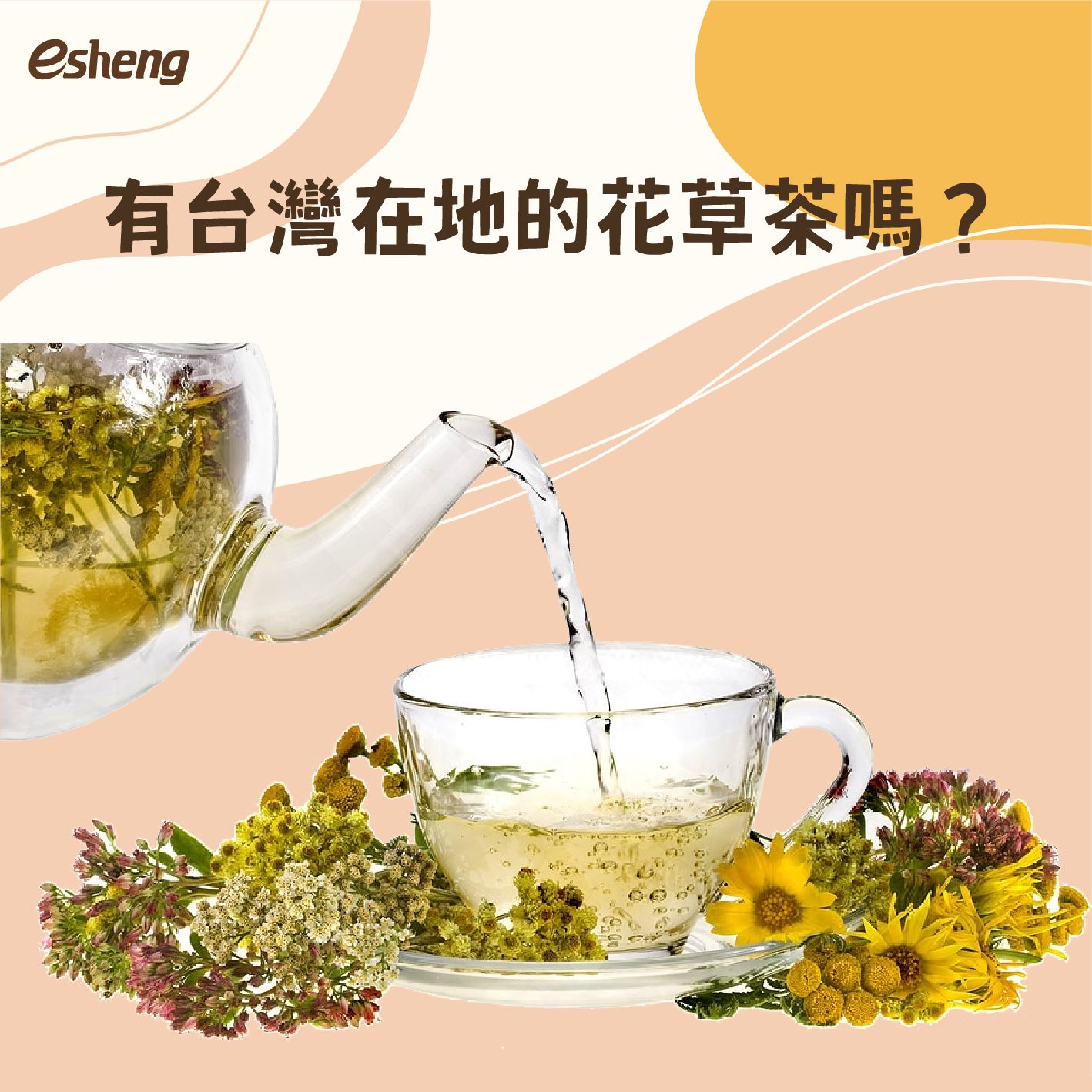 什麼是花草茶 四種養生花草茶讓你喝得健康有活力